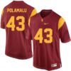 Troy Polamalu Red